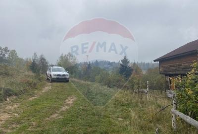 Teren Construcții intravilan de 8119 mp, în Călățele - 20
