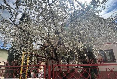 Casa de inchiriat, zona HOREA, Floresti - 13