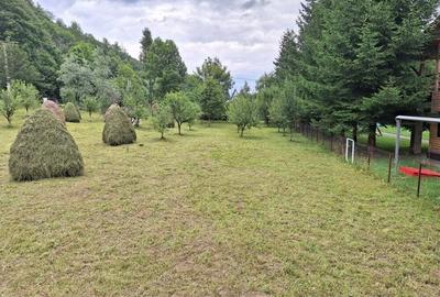 Teren de 1700 mp, în Valea Doftanei - 4