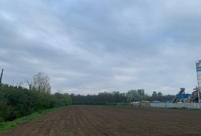 Teren Construcții intravilan de 1562 mp, în Afumați - 10