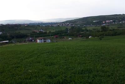 Teren de 4039 mp, în Borhanci - 5