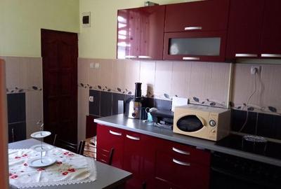 Casă cu 4 camere cu Teren 5400 Mp în Luduș - 8