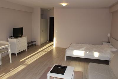 Garsoniera zona Otopeni (Aeroport) bloc NOU, Mobilata-Utilata MODERN - 9