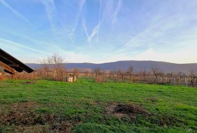 Casă cu 5 camere cu Teren 4443 Mp în Nicolae Bălcescu - 9