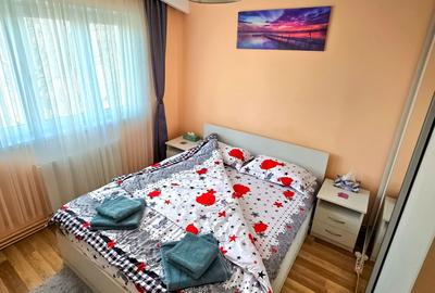 Apartament cu 2 camere decomandat în Vasile Aaron - 4