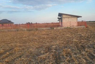 Teren de 500 mp, în Adunații-Copăceni - 2