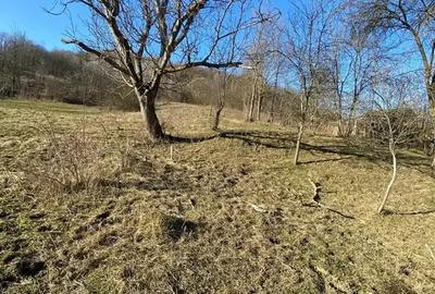 Teren intravilan de 2211 mp, în Sultanu - 4