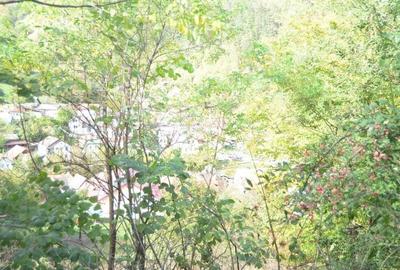 Teren intravilan Brasov-Schei - 12