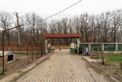 0% Comision !! CASA CU LAC SI PRIVELISTE SUPERBA SPRE PA - 3