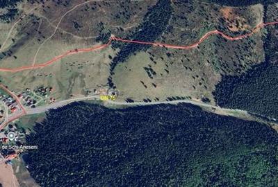Teren de 5000 mp, în Vârtop - 3