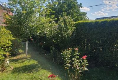 Casă individuală cu 4 camere cu Canalizare în Lunca Cetățuii - 2