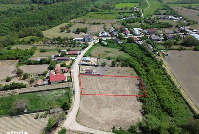 Teren de 1660 mp, în Vânători - 7