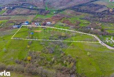 Teren de 33500 mp, în Bucov - 6