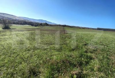 Teren de 2900 mp, în Central - 4
