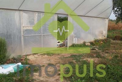 ? Teren intravilan in Jupani (Timis), 10,19 Euro/mp.? - 5