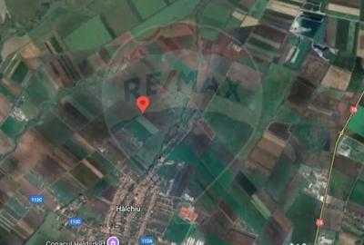 Teren de 10875 mp, în Hălchiu - 3