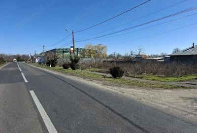 Teren de 740 mp, în Surdila-Greci - 3