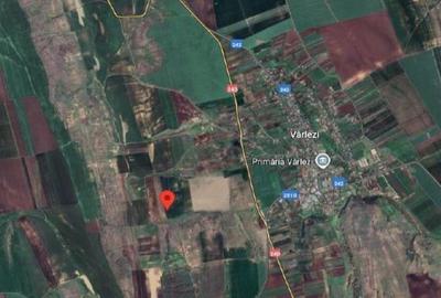 Teren de 6000 mp, în Vârlezi - 2