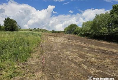 Teren Construcții de 1350 mp, în Rediu - 2