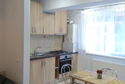 Apartament cu 2 camere decomandat, mobilat în Timișoara - 2