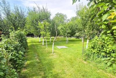 Casă individuală cu 7 camere cu Teren 1384 Mp în Vest - 34