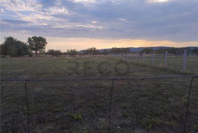 Teren de 620 mp, în Oșorhei - 2