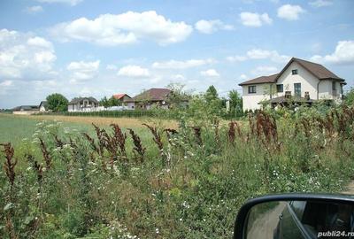 Teren de 20000 mp, în Tărtășești - 3