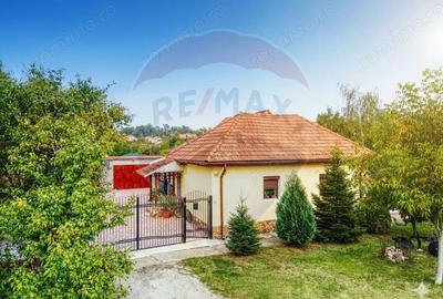 Casă cu Teren 1358 Mp în Bazoș - 4