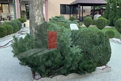 Vilă de lux de închiriat – ideală pentru afaceri - 4