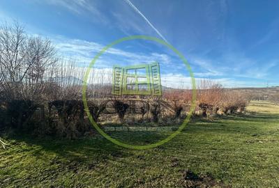 Teren intravilan 1100mp oportunitate spre vanzare in Rasinari - 4