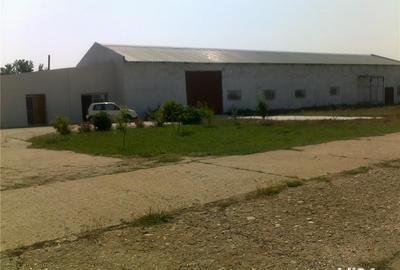 Spațiu comercial, de 8,000 mp, în Mangalia - 4