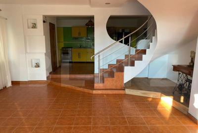 Casa D+P+E, spatiu comercial, 527 mp teren, Str Paltinis, 0% - 2