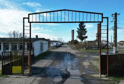 Teren de 10000 mp, în Central - 3