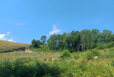 Teren Intravilan in zona Trei Ape, 6889 Mp., 14,5 Euro/Mp., - 10