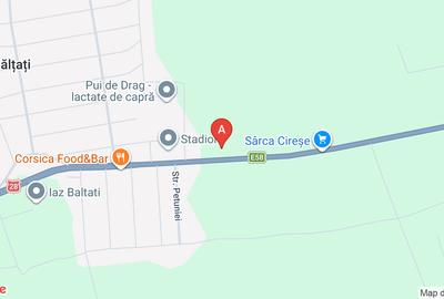 Teren agricol intravilan de 8500 mp, în Bălțați - 1