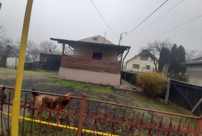 Baia Sprie, casa caramida, 9,4 ari teren - 5