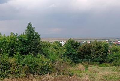 Teren Construcții intravilan de 2300 mp, în Cernatu - 5