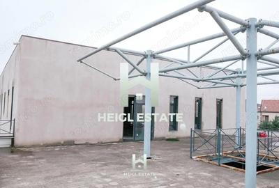 Casă cu Teren 6802 Mp în Albina - 4