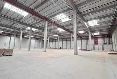 Hala industrialaTimisoara , 2500 mp, Calea Lugojului - 4