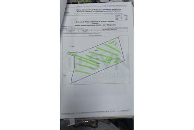 Teren Construcții intravilan de 1950 mp, în Merii - 6