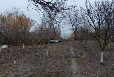 Casă cu 4 camere în Sibioara - 2
