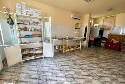 Casă cu 4 camere în Diosig - 2