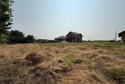 Inchiriem viitorul pe metru patrat, teren 800 mp, intravilan-Peciu Nou - 3