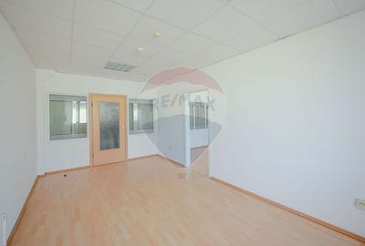 De vanzare Spatiu industrial de 10 129 mp Soseaua Borsului - 19