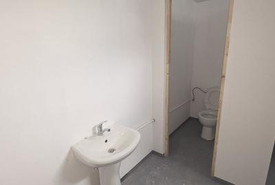Spațiu industrial, de 550 mp, în Theodor Pallady - 17