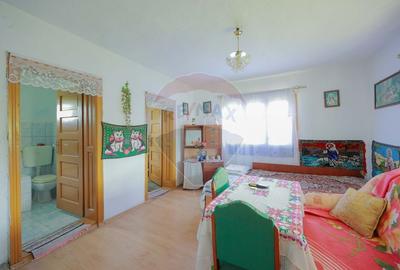 Casă individuală cu 5 camere cu Teren 55706 Mp în Valea Târnei - 3