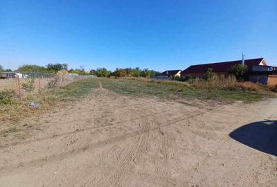 Teren de 2500 mp, în Cazasu - 1
