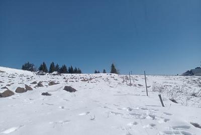 Spațiu comercial, în Piatra - 6