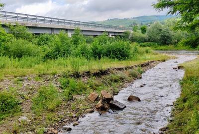 2,64 Ha TEREN SUPERB pe malul raului Crisul Repede padure parau NEGRENI - CLUJ - 6