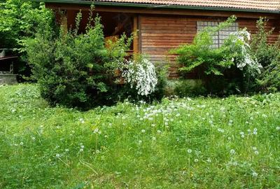 Casa de vacanta, Sugas Bai - 1